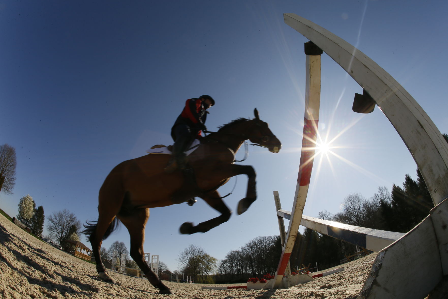 Virus Outbreak Olympic Equestrian Photo Gallery